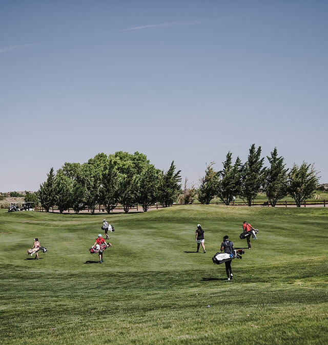 people walking on green grass field carring golf bags